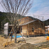 画像236