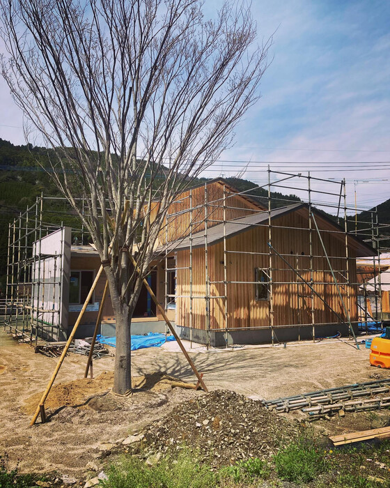 画像236