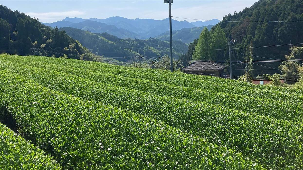 画像271