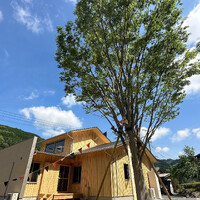 画像273