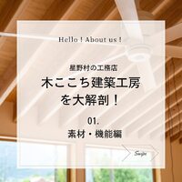 画像334