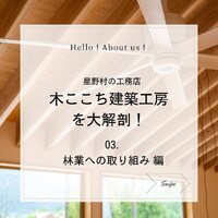 画像352