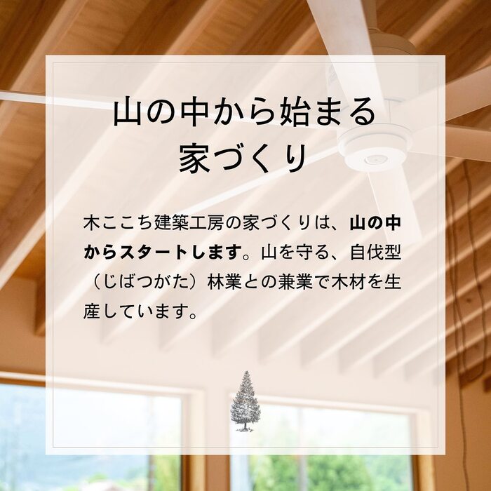 画像353