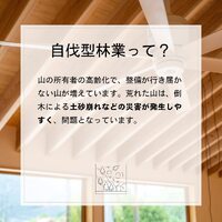 画像354