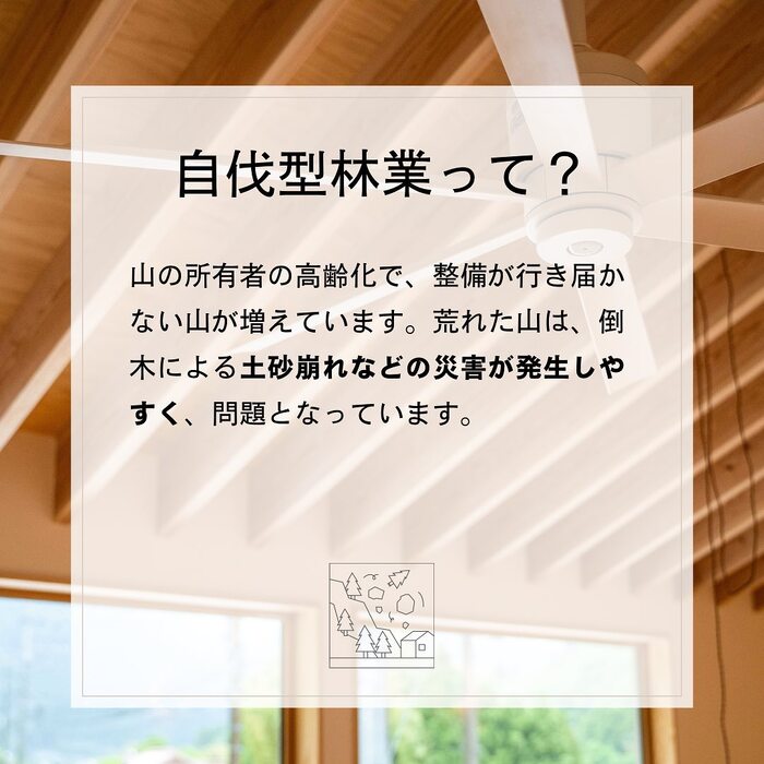 画像354