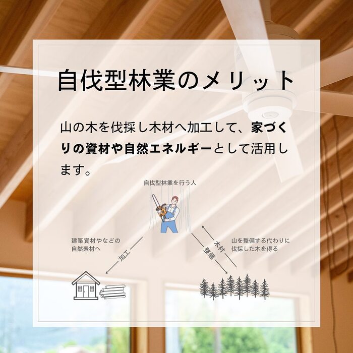 画像355