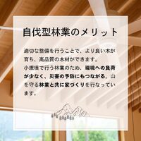 画像356