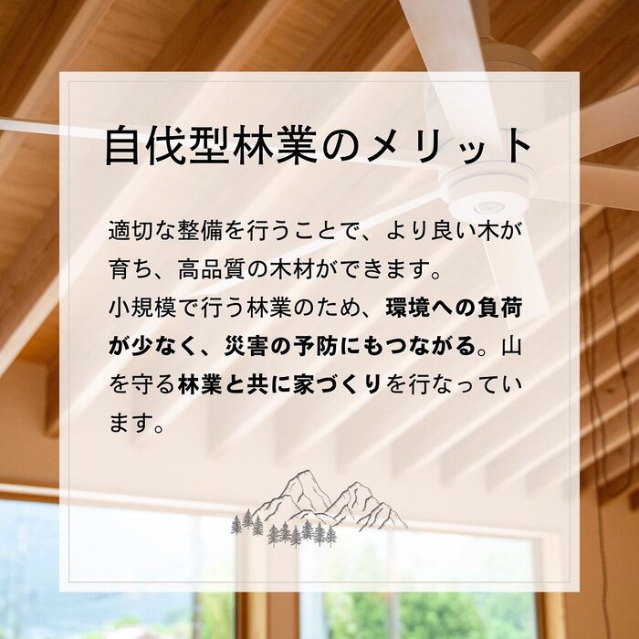 画像356
