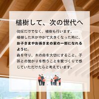 画像358