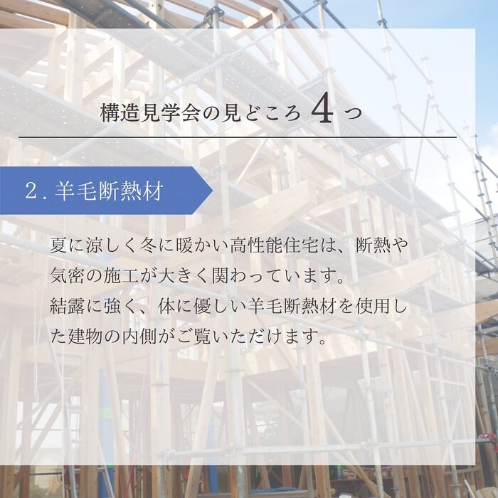 画像381