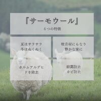 画像423