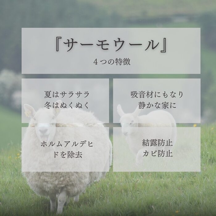 画像423