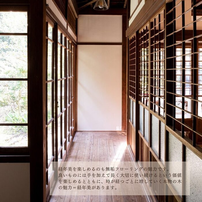画像478