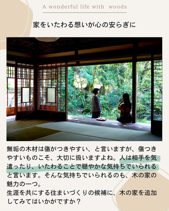画像753