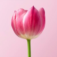 unsplash_ATgfRqpFfFI