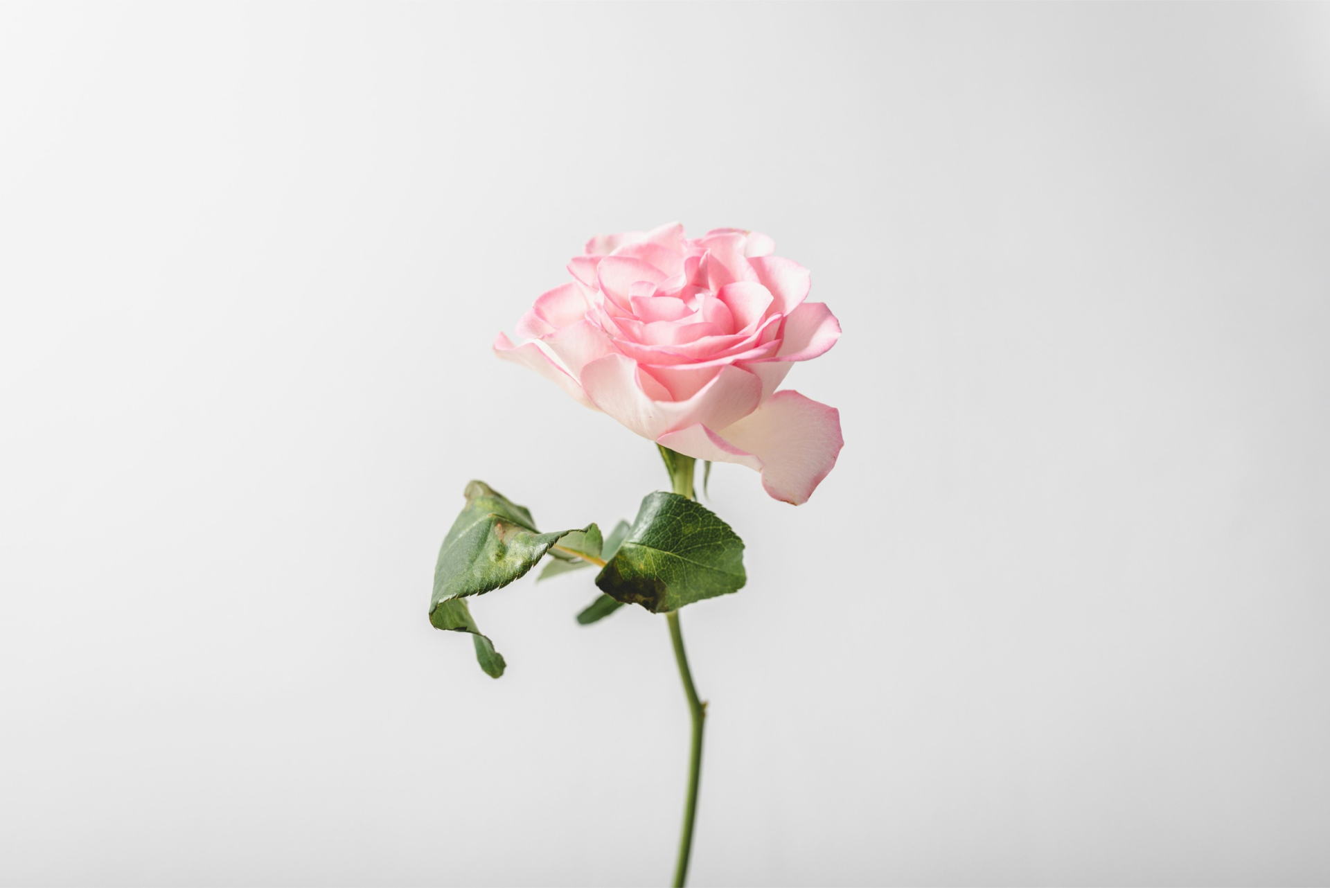 unsplash_guyTcnpRkaw