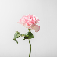 unsplash_guyTcnpRkaw