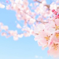 img_bg32
