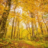 pixta_74958129_M