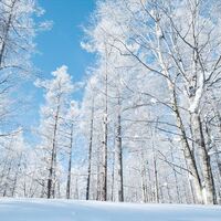 pixta_84298979_M